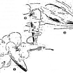 Artist's impression.