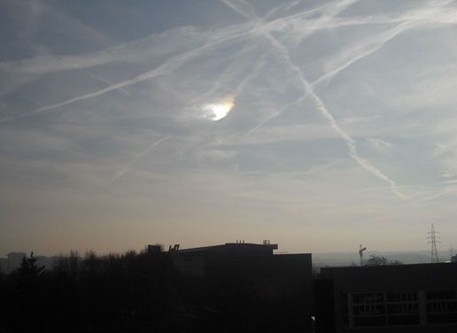 Sundog