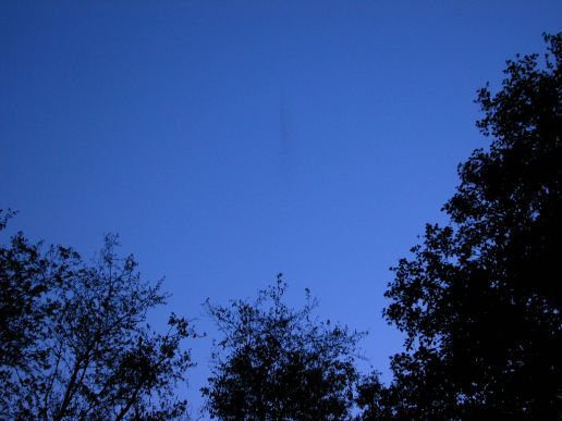 mosquito pillar