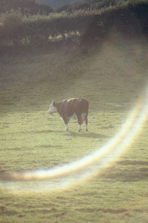 Ring-shaped lens flare