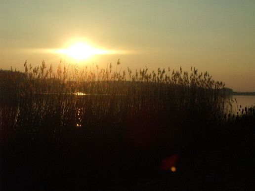 diamond sun