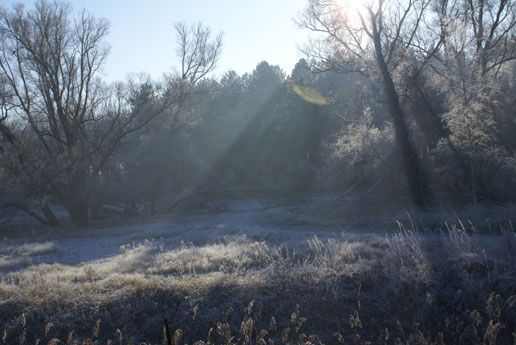diamond sun