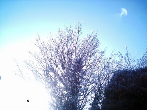 black sun