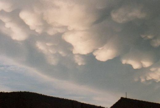 mammatus cells forming