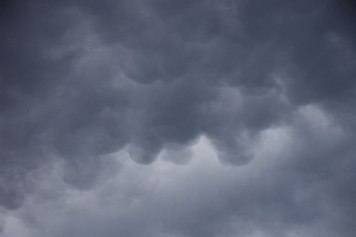 Transparent mammatus cells