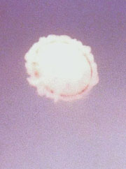 Black smoke ring